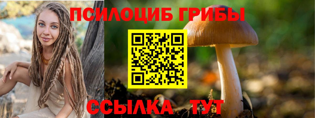 Усинск  Псилоцибиновые грибы прущие грибы  Вход с VPN 